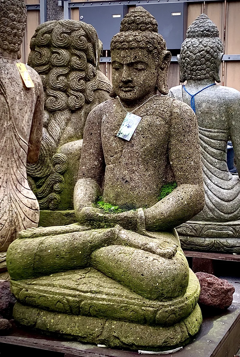 Home buddhas